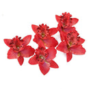 20x Red Artificial Silk Orchid Dendrobium Flower Heads Wedding Decor