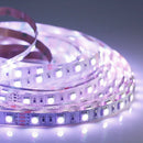 150 SMD LED Strip Light 5050 RGB 5m w/ Multicolor Remote Control f. Xmas Decor
