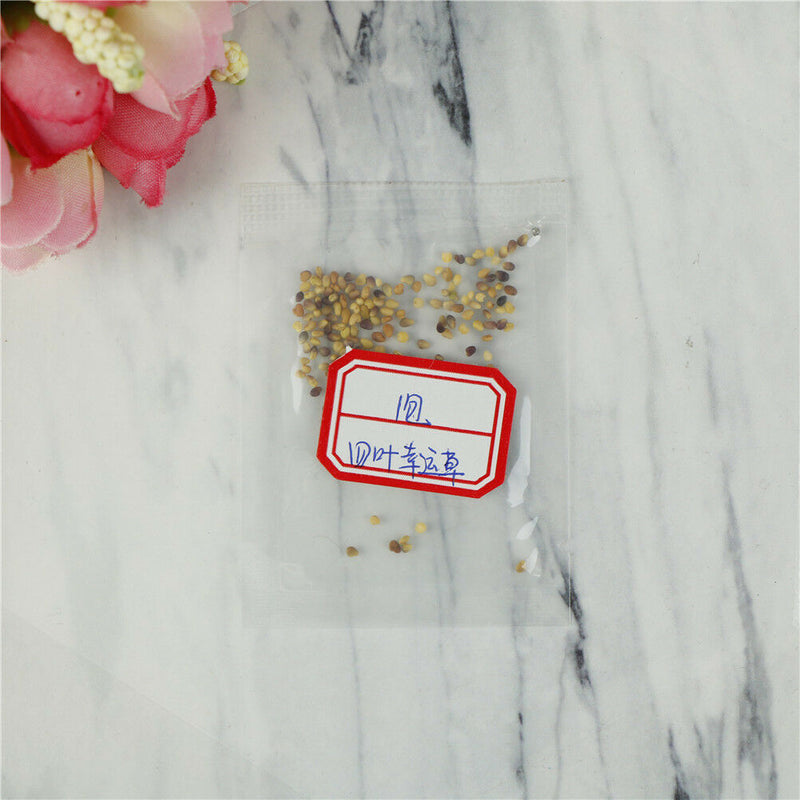 30Pcs/Bag Trifolium Repens Seeds White Clover Flower Seeds Bonsai Shamrock JR