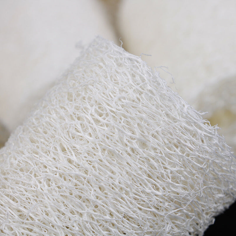 6Pcs Natural Loofah Luffa Loofa Spa Bath Sponge Kitchen Clean ScrubberTEUS