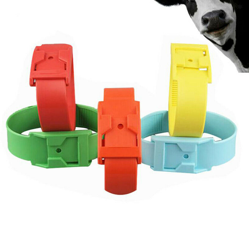 Farm Polychromatic Recognition Ring Marker Band 59 cm Blue