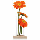 Flower Vase Glass Tubes Clear Glass Flower Pot With Wooden Stand For Hydrop