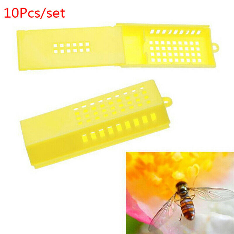 10Pcs Professional Queen Bee Cage Catcher Plastic Beekeeping Travelling Butler!E