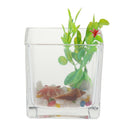 Square Transparent Glass Bowl Clear Vase Fish Turtle Tank Jar Wedding Decor