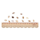 About 1300-1500 Tiny Sea Shell Ocean Beach Spiral Seashells Craft Charms 7-