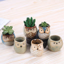 Mini Succulent Plant Pots, Small Ceramic Glazed Flower Desktop Table Planter