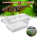 Aquarium Fish Tank Guppy Double Breeding Breeder Rearing Trap Clear Best Ac M5X2
