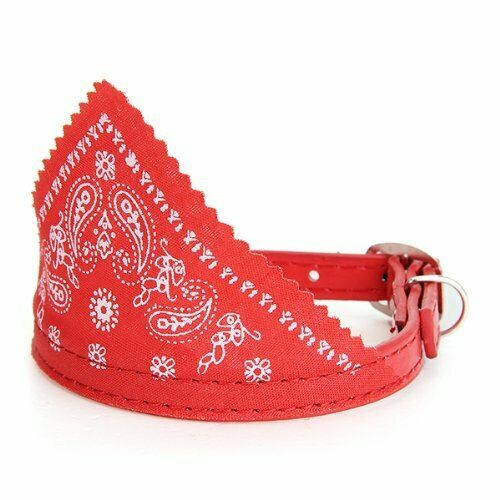 Dog Puppy Pet Bandana Scarf Paisley Pattern with Leather Collar Red S