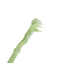 Back scratcher Jad Massager Neck Leg Back Pain Relief Extendable Telescoping BX