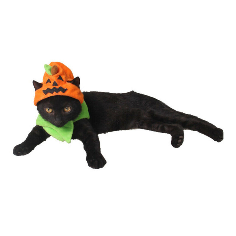 Pet Dog Cat Pumpkins Hat Costumes for Holiday Parties Halloween, Christmas