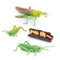Simulation Nature Grasshopper Growth Pre-school Cognitive Toys Themed Party