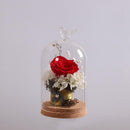 Bird Decorative Glass Dome with Wooden Base - Cloche Bell Jar Display 15cm