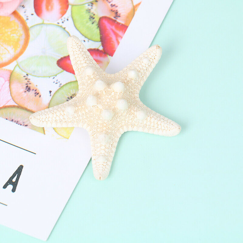 Fashion Lady Hair Clips Women Girls Starfish Sea Star Hairpins Beach Barrett Ew