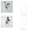 2pcs Clear Ball Shape Glass Flower Vase Plant Bottle Home Decor Terrarium