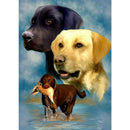 5D DIY Full Drill Diamond Painting Dog Cross Stitch Embroidery Mosaic Kit