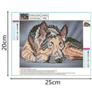 Diamond Painting Special Shaped Diy 5D Partial Drill Cross Stitch Diamond E O8S7