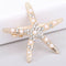 Fashion Lady Girl Beach Wedding Natural Starfish Sea Star Hair Clip Hairpin FT