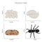 Plastic Life Cycle of Frog Ant Playset Cognitive Biology Toys Themed Party