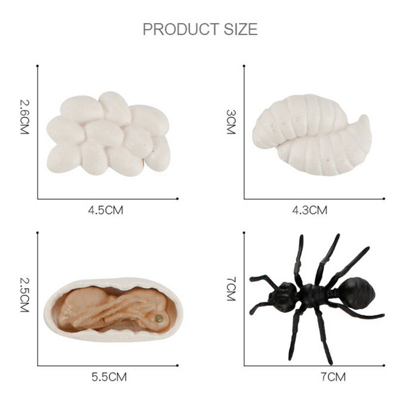 Plastic Life Cycle of Frog Ant Playset Cognitive Biology Toys Themed Party