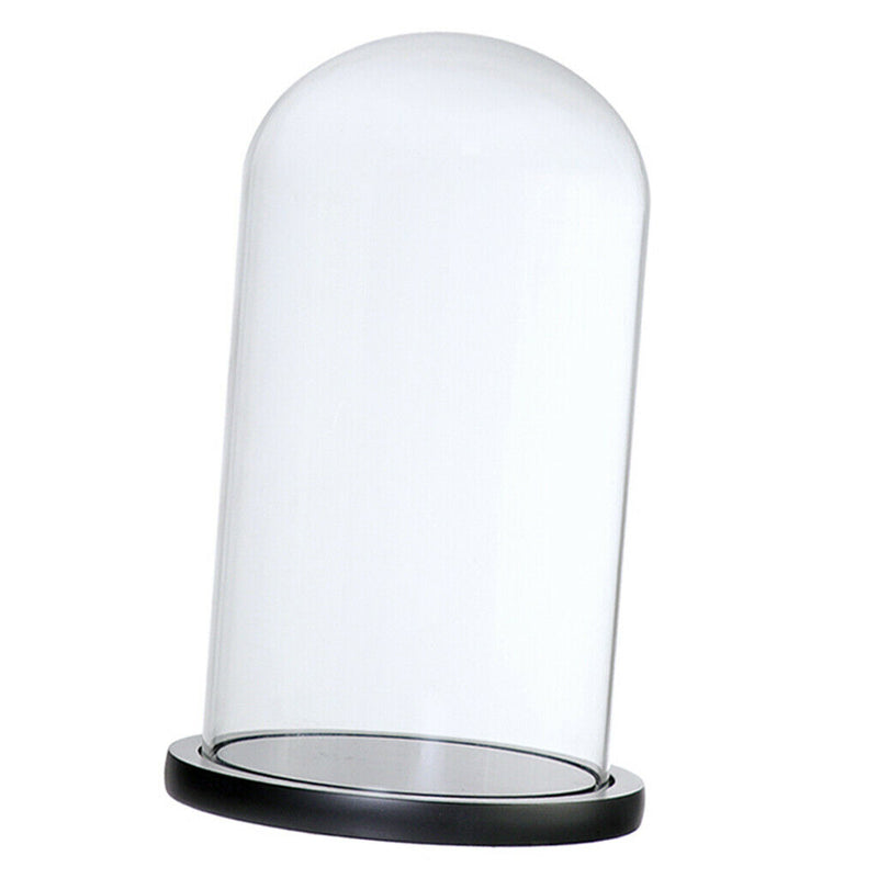 Decorative Glass Cloche Bell Jar Dome with Wooden Base Display Decor_Black F