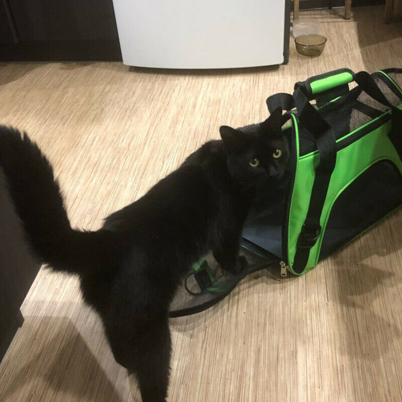 Portable Travel Pet Carrier For Cat Dog Backpack Carrying Handbag Small Dog R1L6