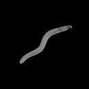 10Pcs Fishing Lure Set Kit Soft Bait Lure Grub Earthworm Carp Fishing Tackle