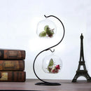 2 Cover Vase Landscape Display Terrarium Container S-Shaped Stand Desk Decor