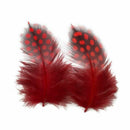 50 pcs Feather of cock Applique Sewing Decor Garment Hat DIY Jewelry 5-10 c A1B9