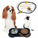 Pet Dog Double Feeder Bowl Stainless Steel Silicone Mat Food Water Bowl SetSEAU