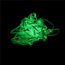 Glow In The Dark Basketball Hoop Net Luminous Shoot Training Sports Kid Gifts TE