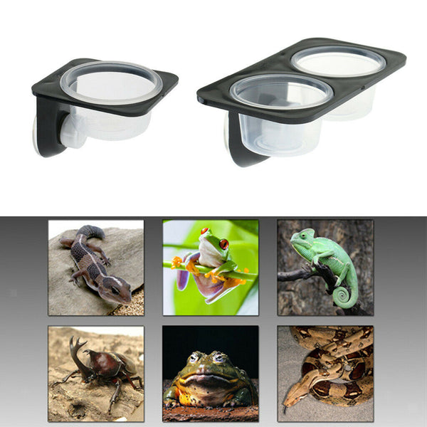 3Pcs Automatic Plastic Reptile Feeders Water Bottle Double Dish with Suction Cup