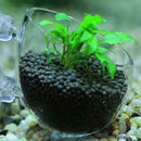 Microcosmic Shrimp Aquarium Tank aquatic Crystal Glass Plant Decor Cup Cute R1V8