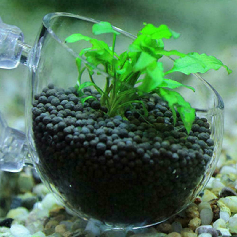 Microcosmic Shrimp Aquarium Tank aquatic Crystal Glass Plant Decor Cup Cute R1V8