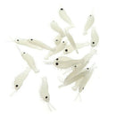 20Pcs Artificial Fishing Lure Bionic Shrimp Soft Bait Fishing Tackle Noctil E7K4