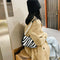 Plush Handbags Female Zebra Print Shoulder Underarm Bag Chain Purses (3)