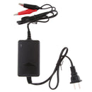 6V 2 Amp Smart Motorcycle Car E-bike Battery Charger