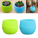 2x Succulent Pot Vase Herb Storage Box Cacti Plant Box Plant Container