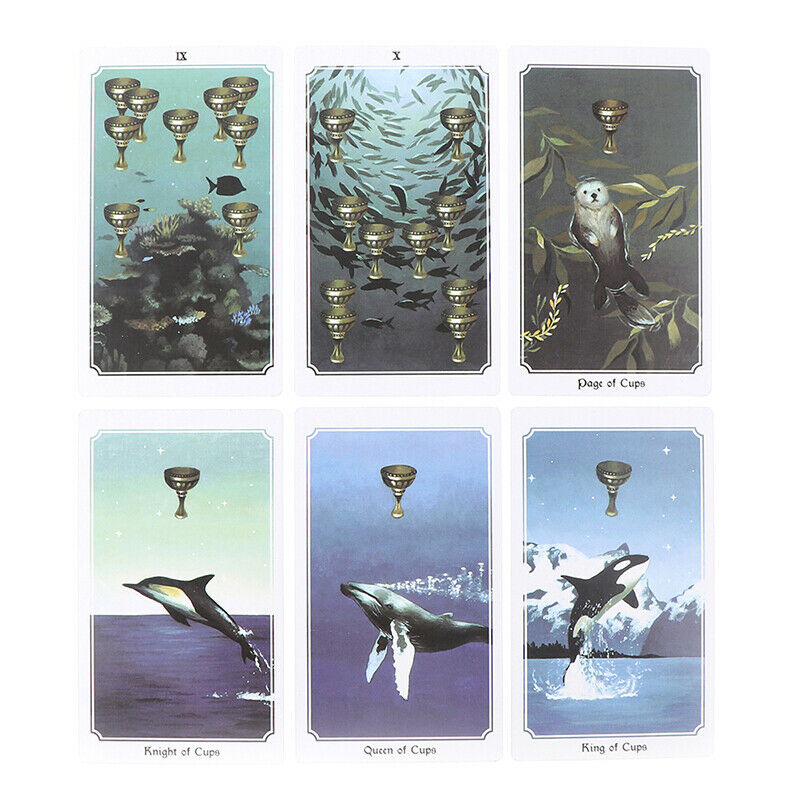78 Desk Card with Guide Book Nature Deck Divination Cards GameB Hn