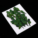 Natural Dried Flowers Bouquet Dry Flowers Decorative Leaf Bouquet ,Real Pressed