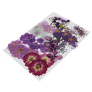 1 Set Natural Real Dried Flowers Card Making Album Frame Decor 2.5-3.5cm