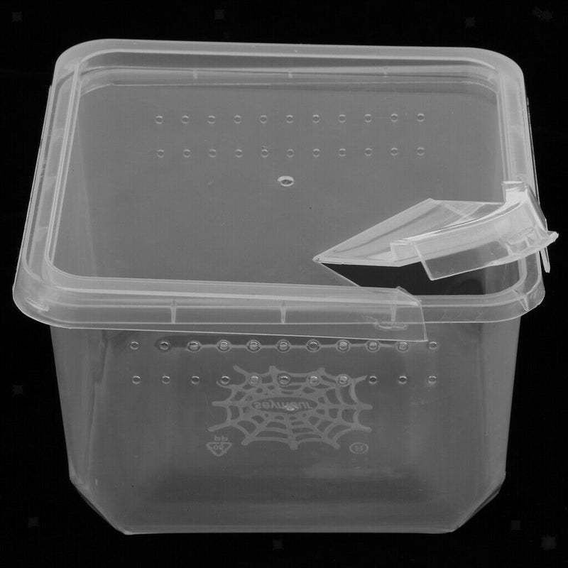 Plastic Insect Spider Habitat Feeding Box