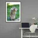 5D DIY Full Drill Diamond Painting Squirrel Cross Stitch Mosaic Kit (QF117)