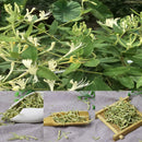 100g Dried Honeysuckle Buds Clear Heat Remove Toxicity Natural Honeysuckle A0E9
