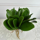 Artificial flower, leaves of Phalaenopsis (moth orchid), leaf / green (gree U7E6