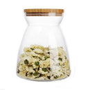 Hydroponic Flowers Plant Vase Bottle Terrarium Container Home Lanscape Decor