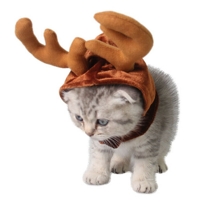 Christmas Pet Cute Reindeer Costume Hat for Cat and Small Dog F1H2