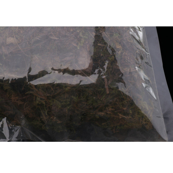 Natural Green Moss Terrarium Plant Moss Fern Pet Reptile Habitat Decoration