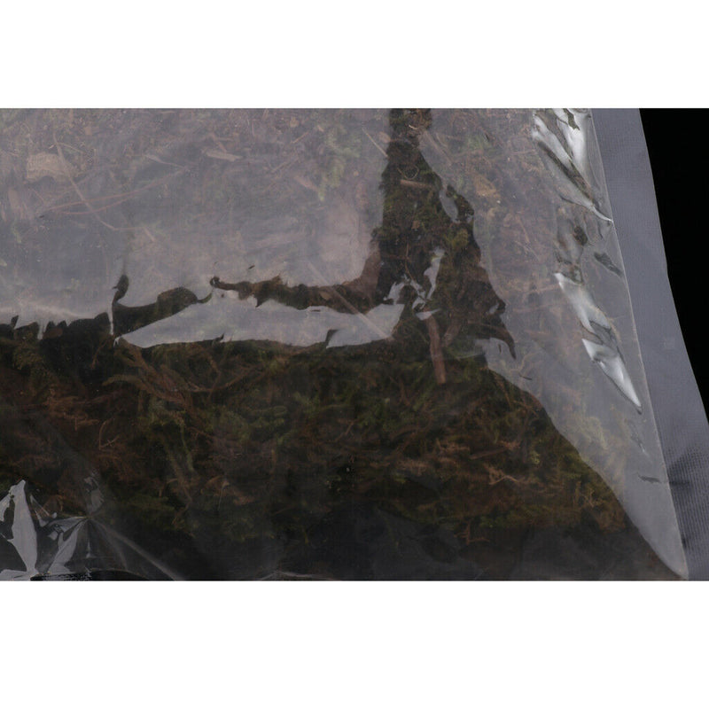 Natural Green Moss Terrarium Plant Moss Fern Pet Reptile Habitat Decoration