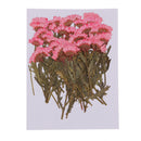 100pcs Natural Pressed Dried Flower for Wedding Party Home Holiday Decors