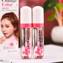 Long Lasting Lip Gloss Change Color Clear Liquid Lipstick Moistourizing L Dlxd